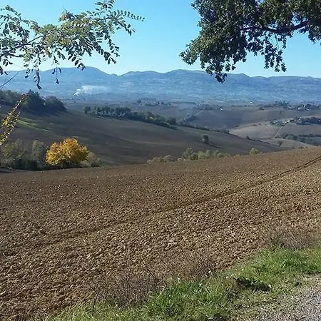 Associazione Culturale Libellula Filottrano