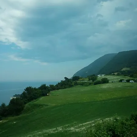 Associazione Culturale Libellula *