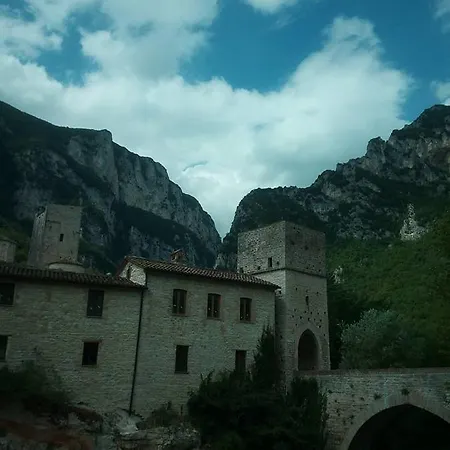 Associazione Culturale Libellula